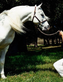 ANGELINA JOLIE by David LaChapelle Photoshoot