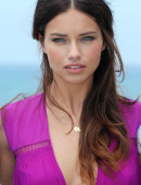 Adriana-Lima---Behati-Prinsloo-and-Lily-Aldridge-2013-Pink-Carpet-Party-5