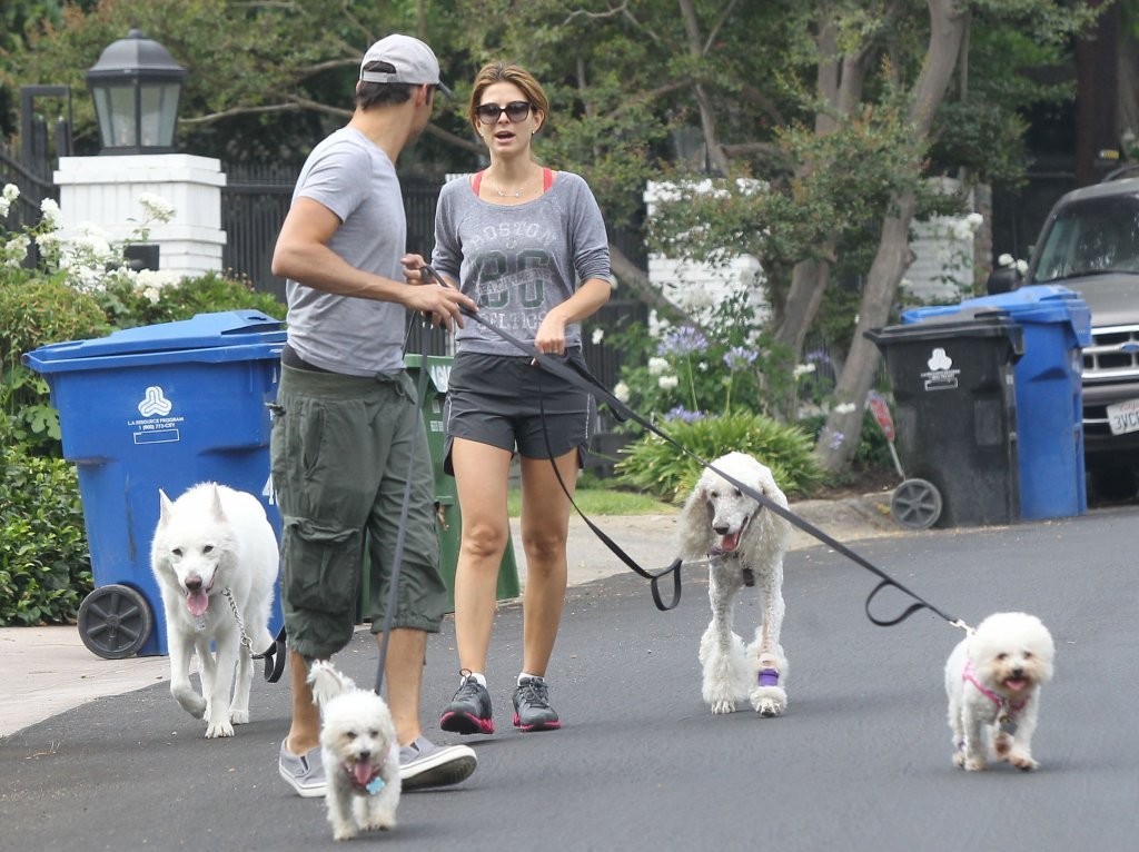 Maria-Menounos-Leggy-Walking-her-Dogs-in-LA-1