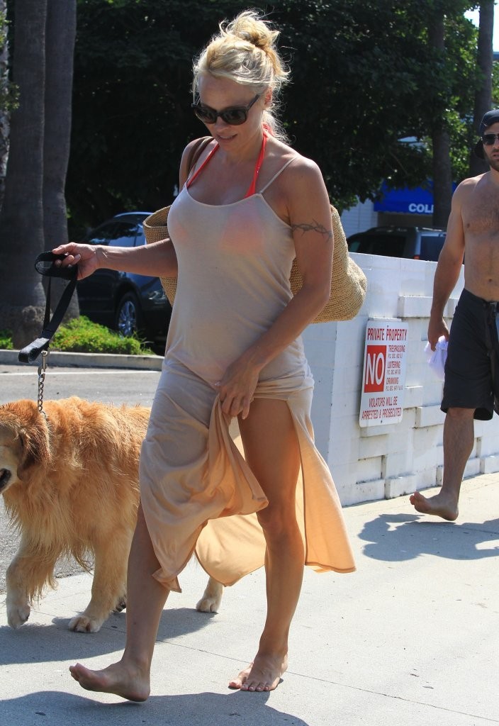 Pamela-Anderson-Walking-her-Dogs-in-Malibu-3