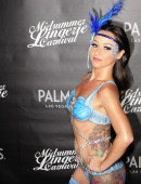 Danielle-Harris-Midsummer-Lingerie-Carnival-LA-6