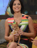 Jaimie-Alexander-42