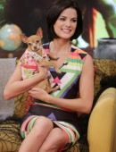 Jaimie-Alexander-54