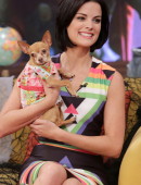 Jaimie-Alexander-55