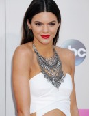 2013 American Music Awards
