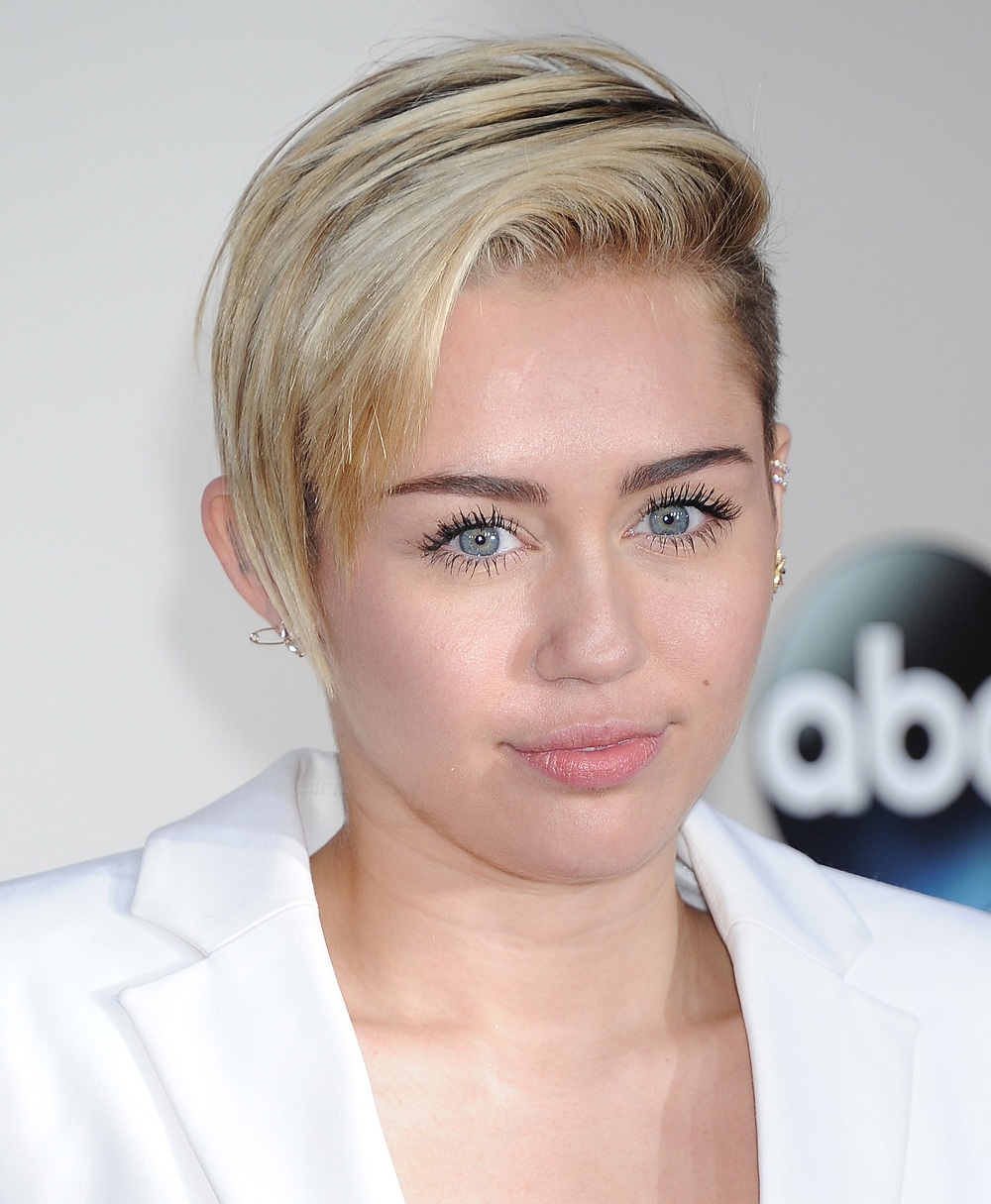 2013 American Music Awards