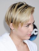 2013 American Music Awards