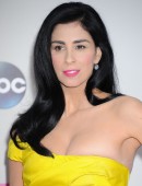 2013 American Music Awards
