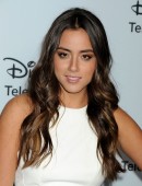 Disney ABC Television Group Host 2014 TCA Winter Press Tour
