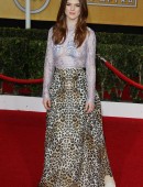 20th Annual Screen Actors Guild Awards - Red Carpet