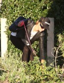 Paris-Hilton-501
