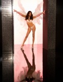 Adriana-Lima-Victoria's-Secret-Angel-Credit-Card-Photoshoot-2