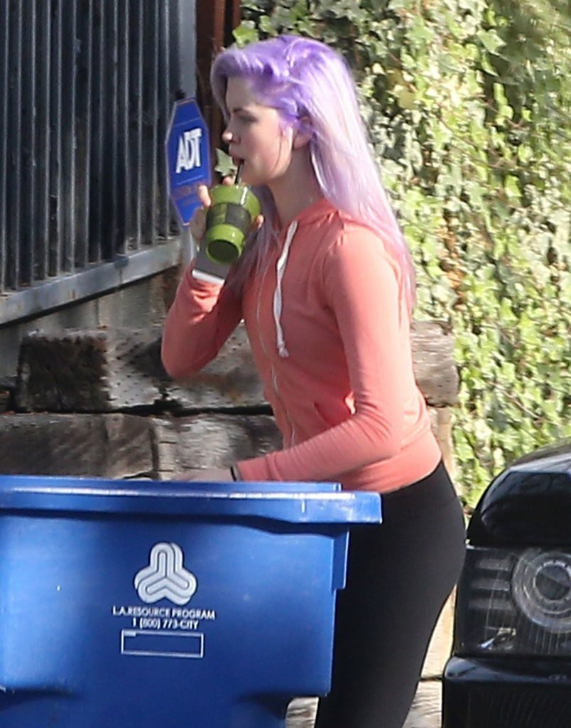 Ireland-Baldwin-Purple-Hair-7