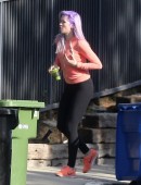 Ireland-Baldwin-Purple-Hair-9