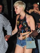 Miley-Cyrus-Cameo-Nightclub-Miami-8