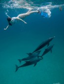 Miranda-Cosgrove-Oceana-Swimming-with-Dolphins-Campaign-3