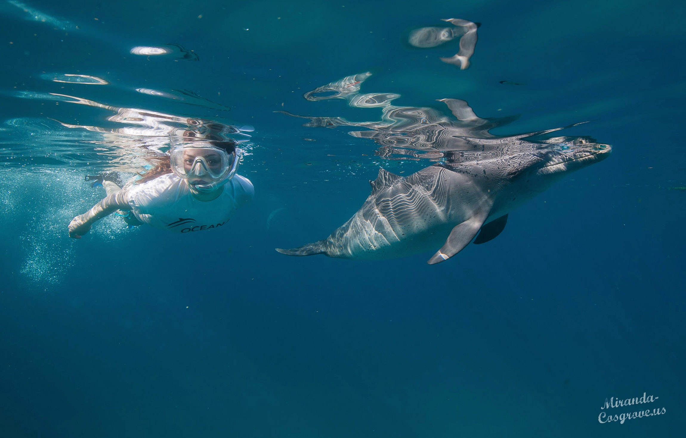Miranda-Cosgrove-Oceana-Swimming-with-Dolphins-Campaign-7