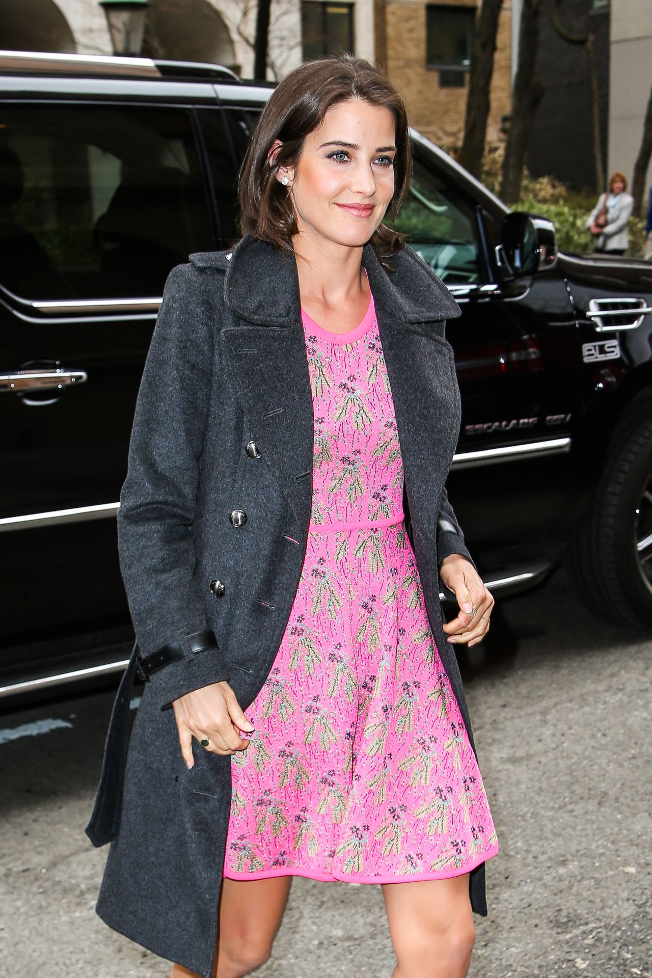 Cobie-Smulders-2