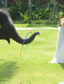 EXCLUSIVO PREMIUM: Kris Jenner recebe beijinho de elefante
