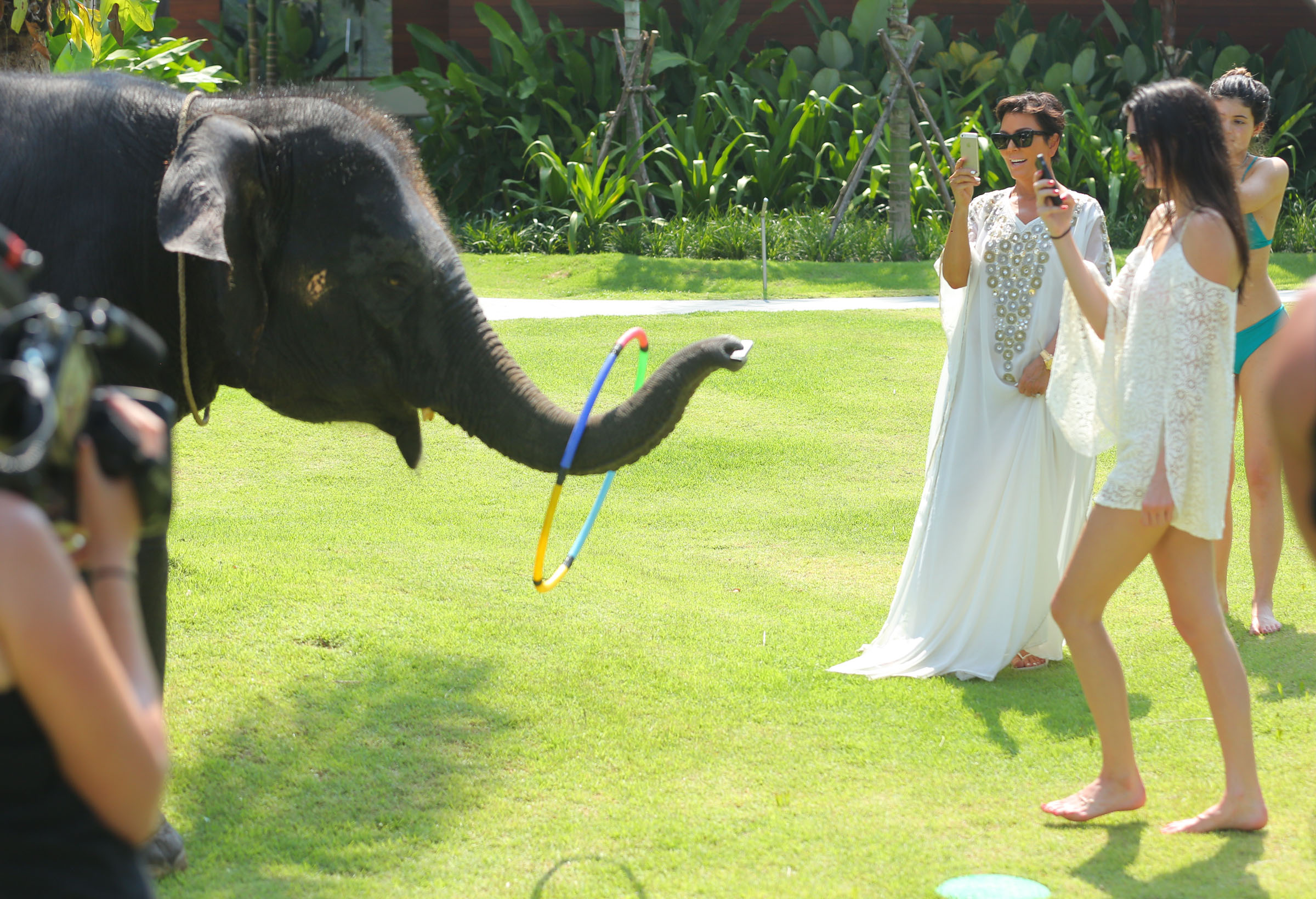 EXCLUSIVO PREMIUM: Kris Jenner recebe beijinho de elefante