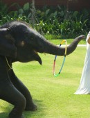 EXCLUSIVO PREMIUM: Kris Jenner recebe beijinho de elefante