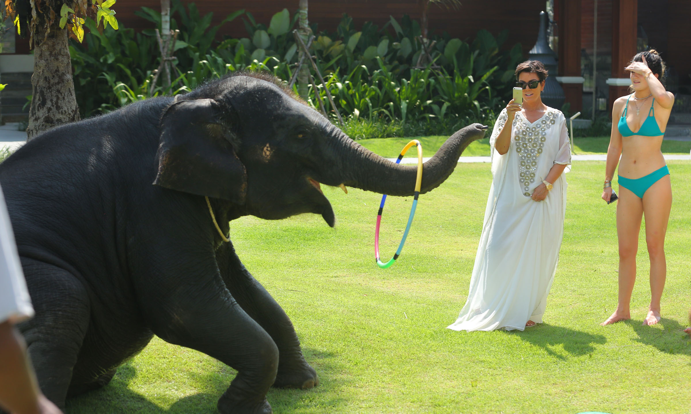 EXCLUSIVO PREMIUM: Kris Jenner recebe beijinho de elefante