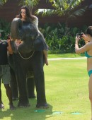 EXCLUSIVO PREMIUM: Kris Jenner recebe beijinho de elefante