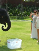 EXCLUSIVO PREMIUM: Kris Jenner recebe beijinho de elefante