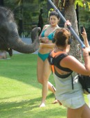 EXCLUSIVO PREMIUM: Kris Jenner recebe beijinho de elefante