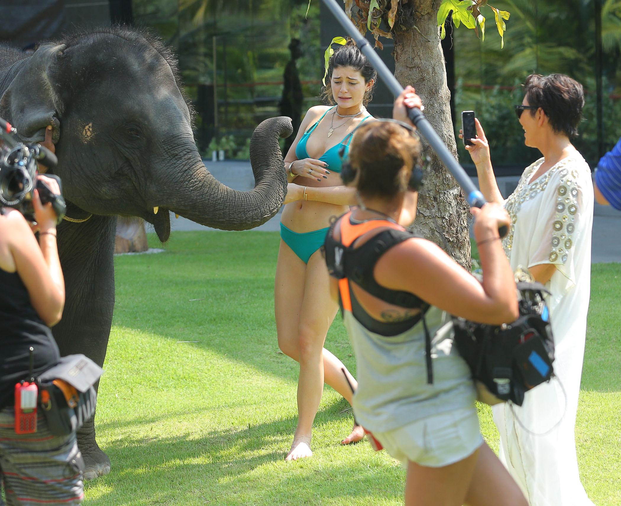 EXCLUSIVO PREMIUM: Kris Jenner recebe beijinho de elefante