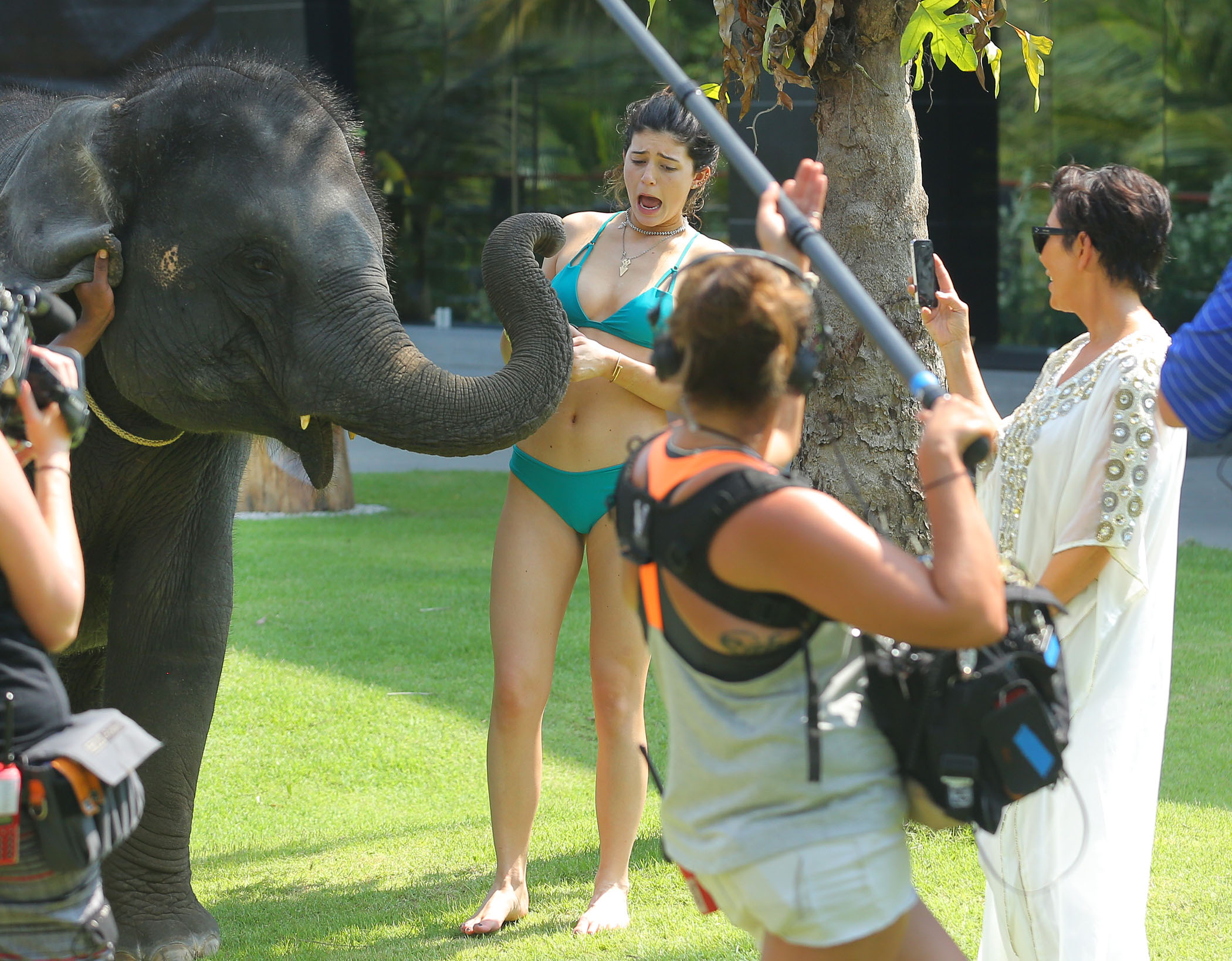 EXCLUSIVO PREMIUM: Kris Jenner recebe beijinho de elefante