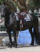 Selena-Gomez-Horseback-Riding-LA-2