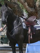 Selena-Gomez-Horseback-Riding-LA-3