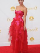 The 66th Primetime Emmys