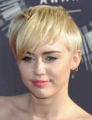2014 MTV Video Music Awards