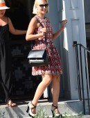 Dianna-Agron-1