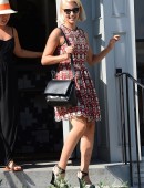 Dianna-Agron-2