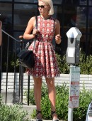 Dianna-Agron-5