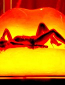 Kylie-Minogue-1