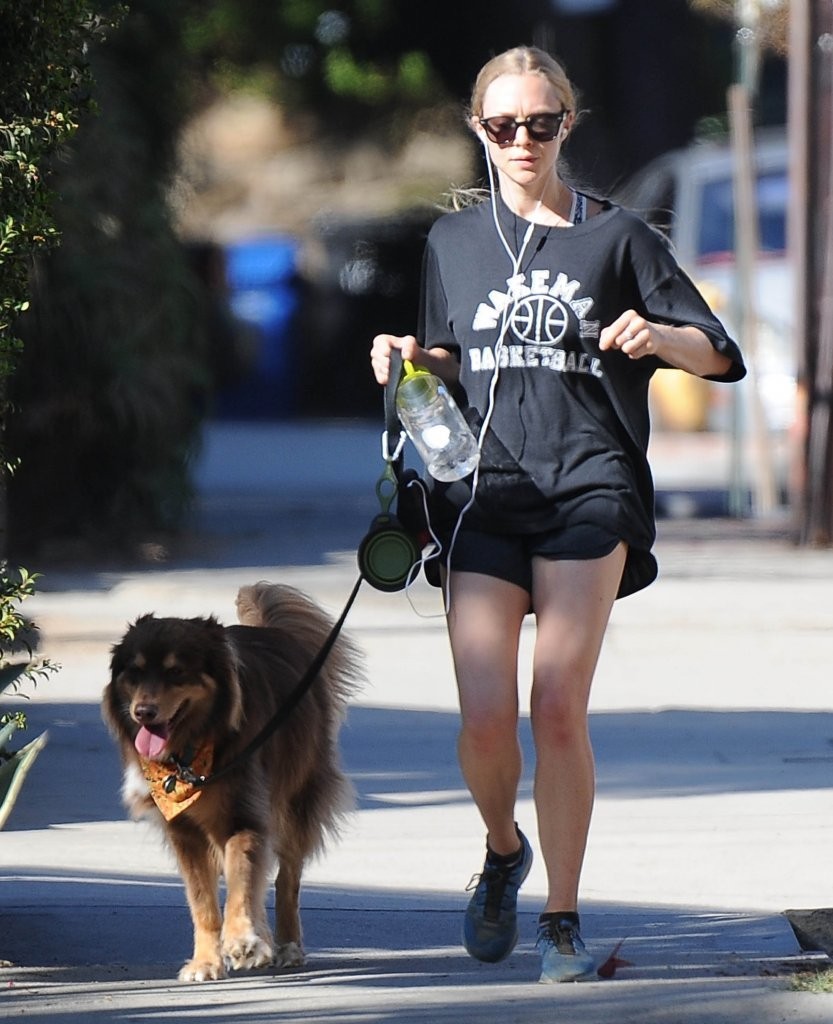 Amanda-Seyfried-905