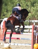 Kaley-Cuoco-Riding-Horse-LA-1