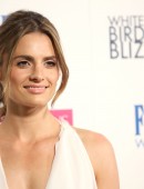 Stana Katic