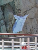 Sienna-Miller-in-Bikini-Hotel-Du-Cap-Eden-Roc-Pool-France-4