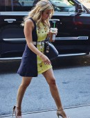 Ashley-Benson-Leggy-208