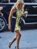 Ashley-Benson-Leggy-210