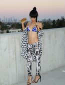 Bai-Ling-in-Bikini-in-ArcLight-Theatre-3