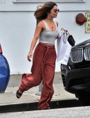 ashley-tisdale-and-vanessa-hudgens-4