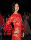 nina-dobrev-at-the-marchesa-spring-summer-2017-fashion-show-during-nyfw-13