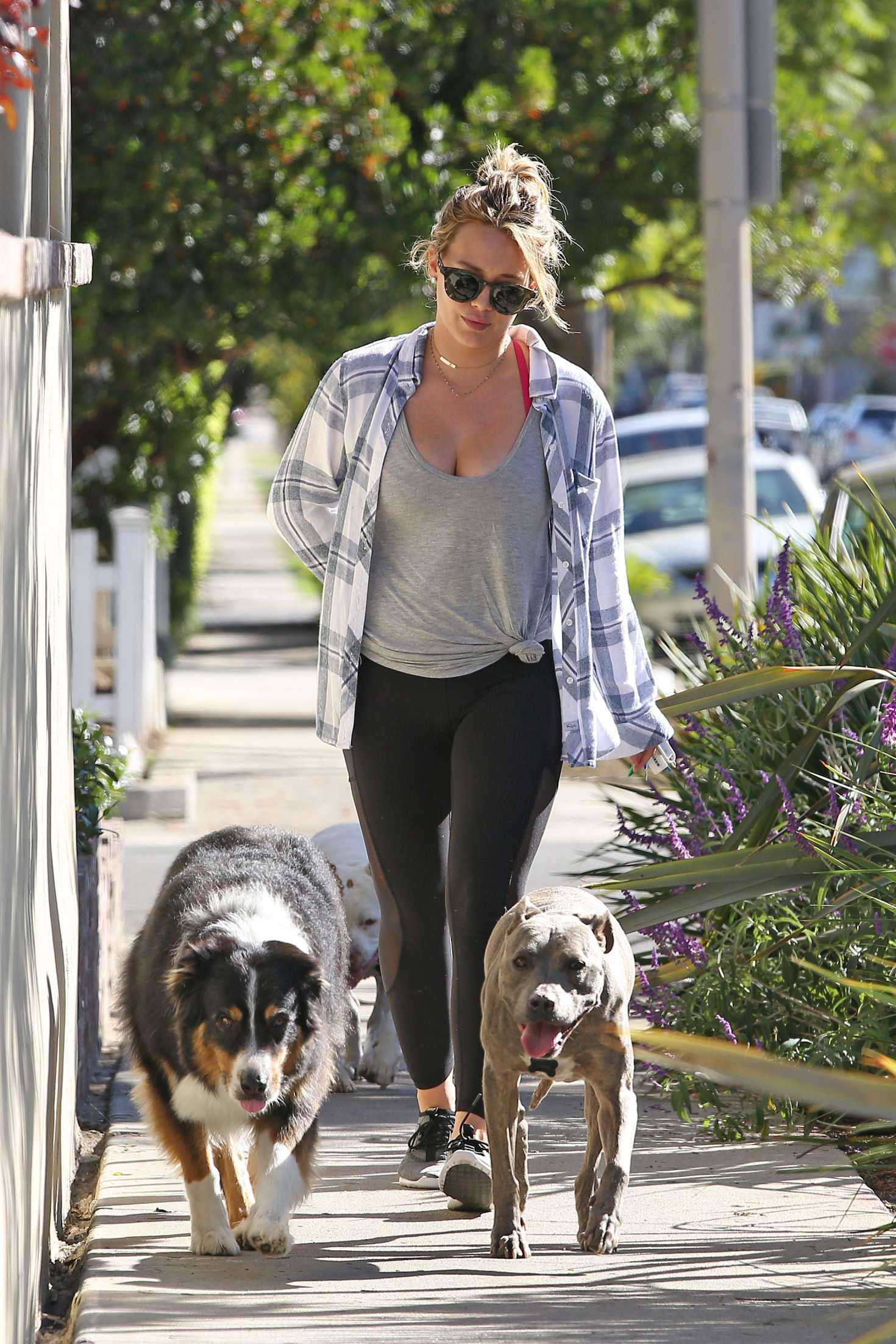 hilary-duff-walking-her-dogs-1