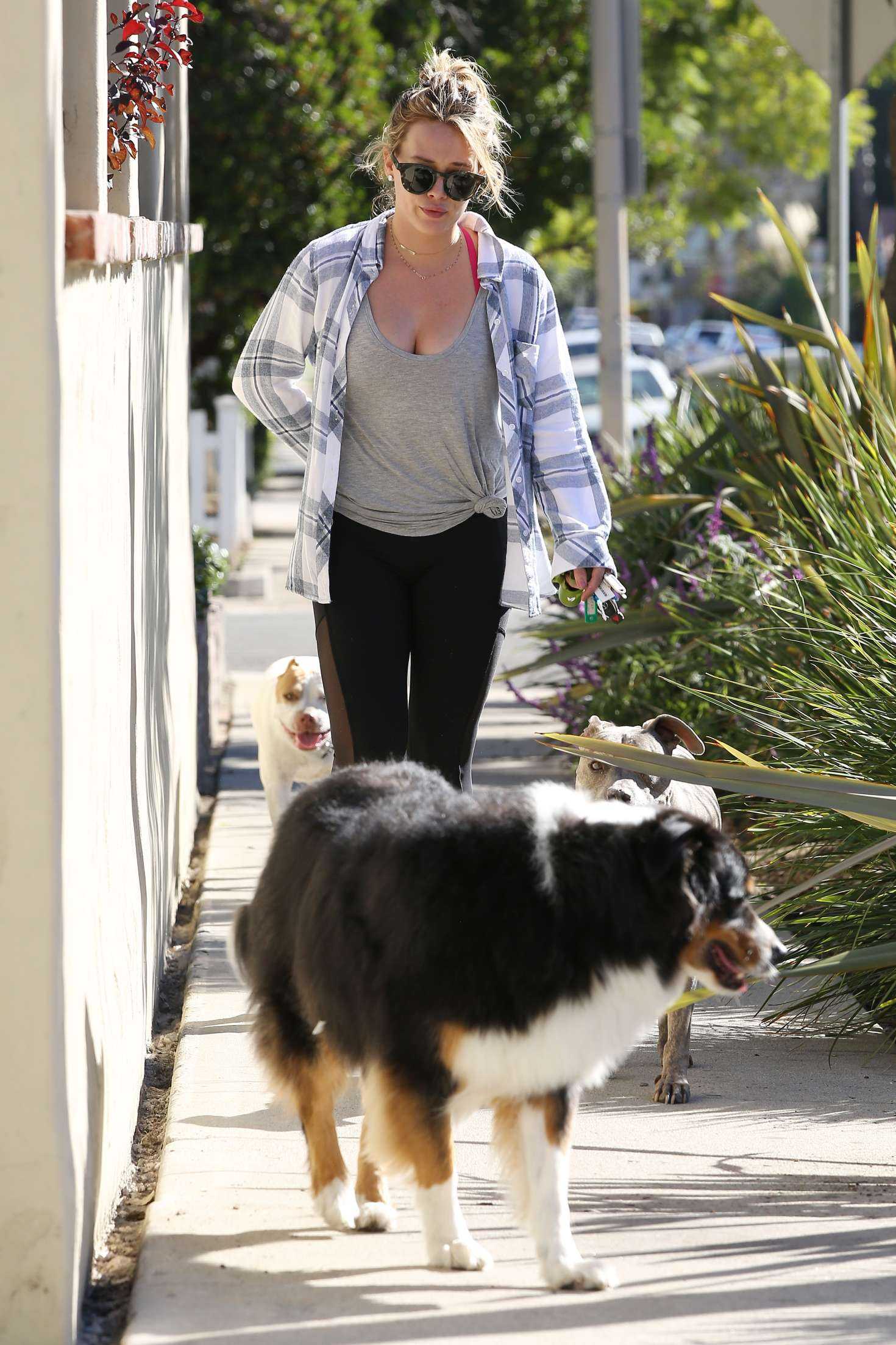 hilary-duff-walking-her-dogs-5